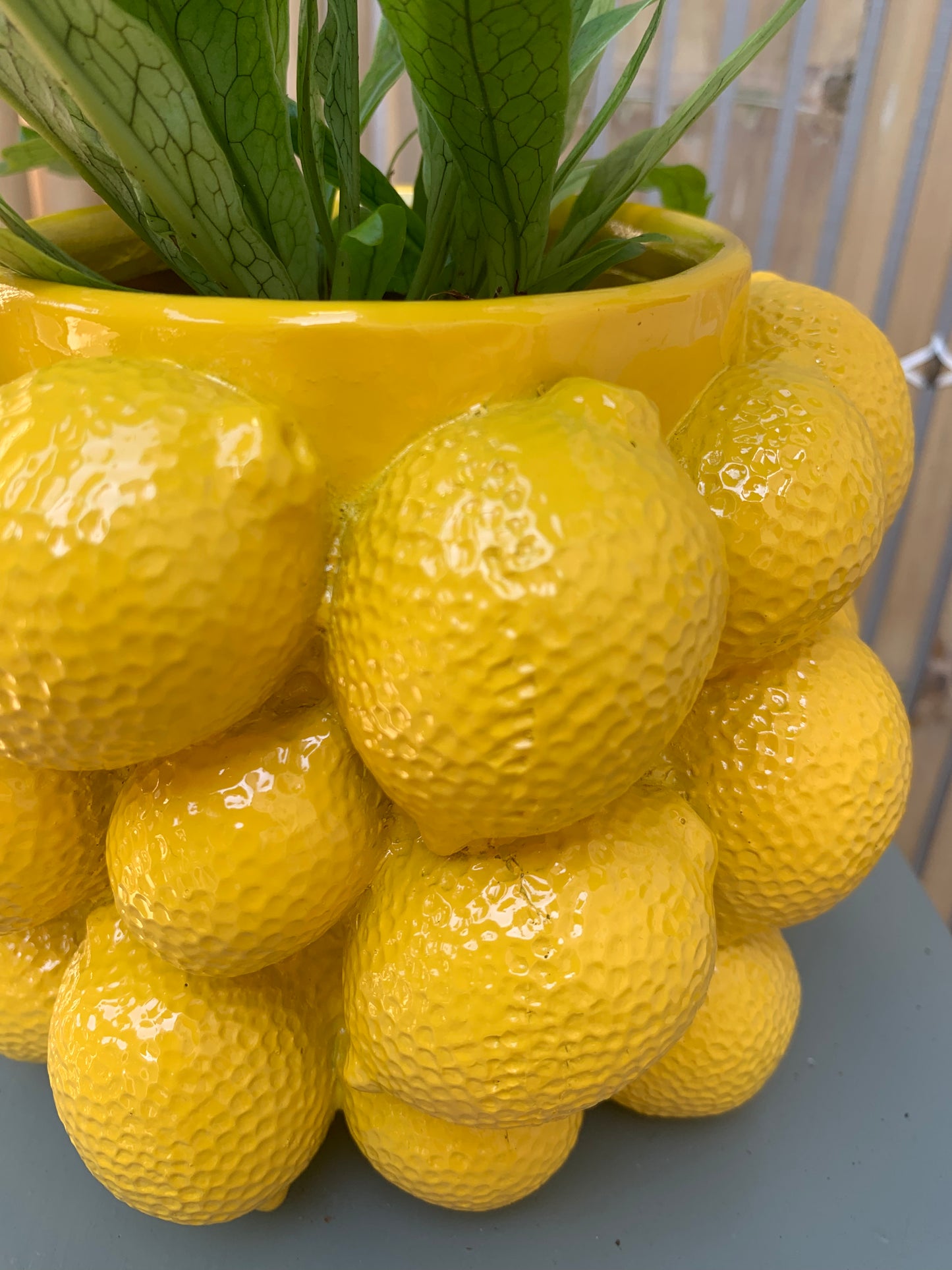 Bloempot Light & Living met citroenen geel