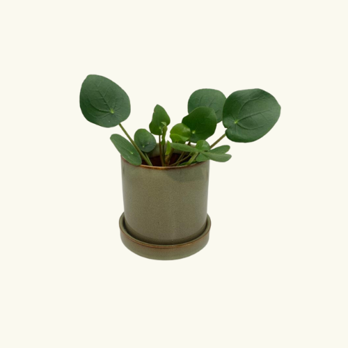 Groen potje met vast schotel