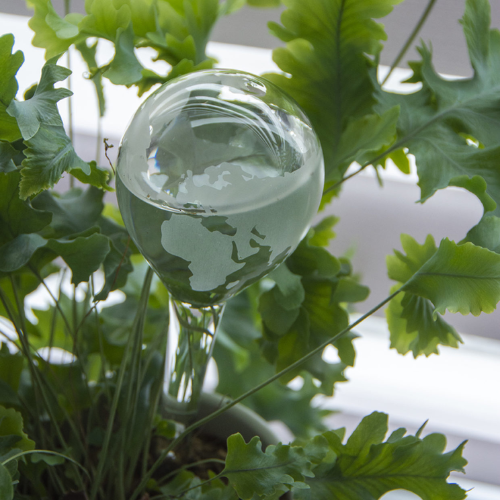 Globe plant bewaterer