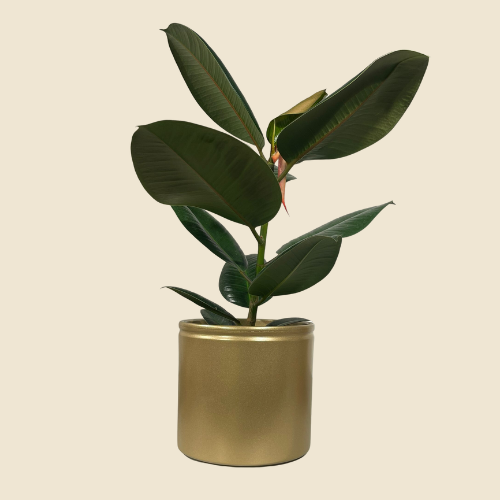 Bloempot goudkleurig