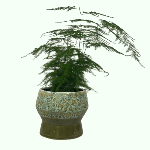Bloempot Astana,groen met kleuraccenten, vintage look