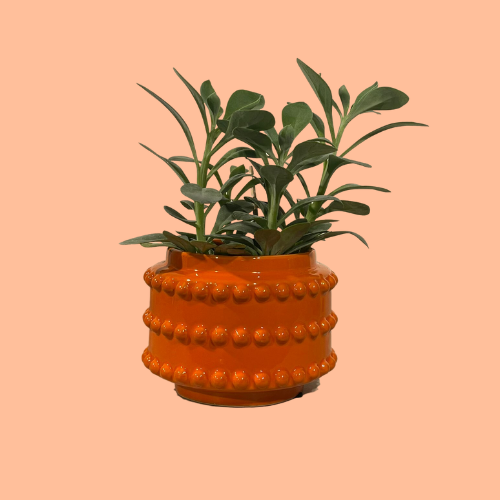Bloempot oranje
