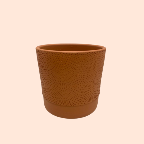 Terracotta pot