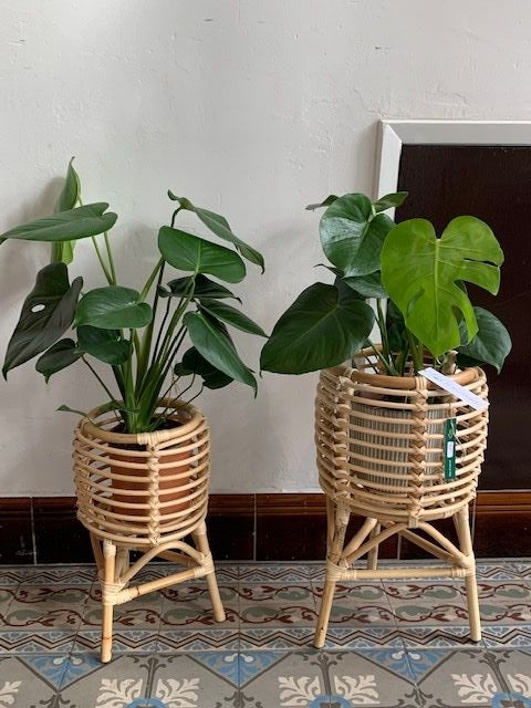 Rotan plantenstandaard klein