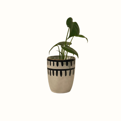 Bloempot wit met zwarte details