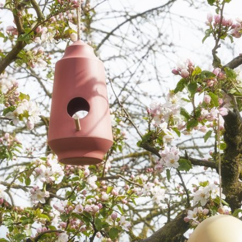 vogelhuisje roze oranje
