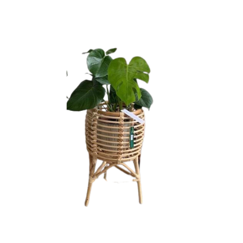 Rotan plantenstandaard klein