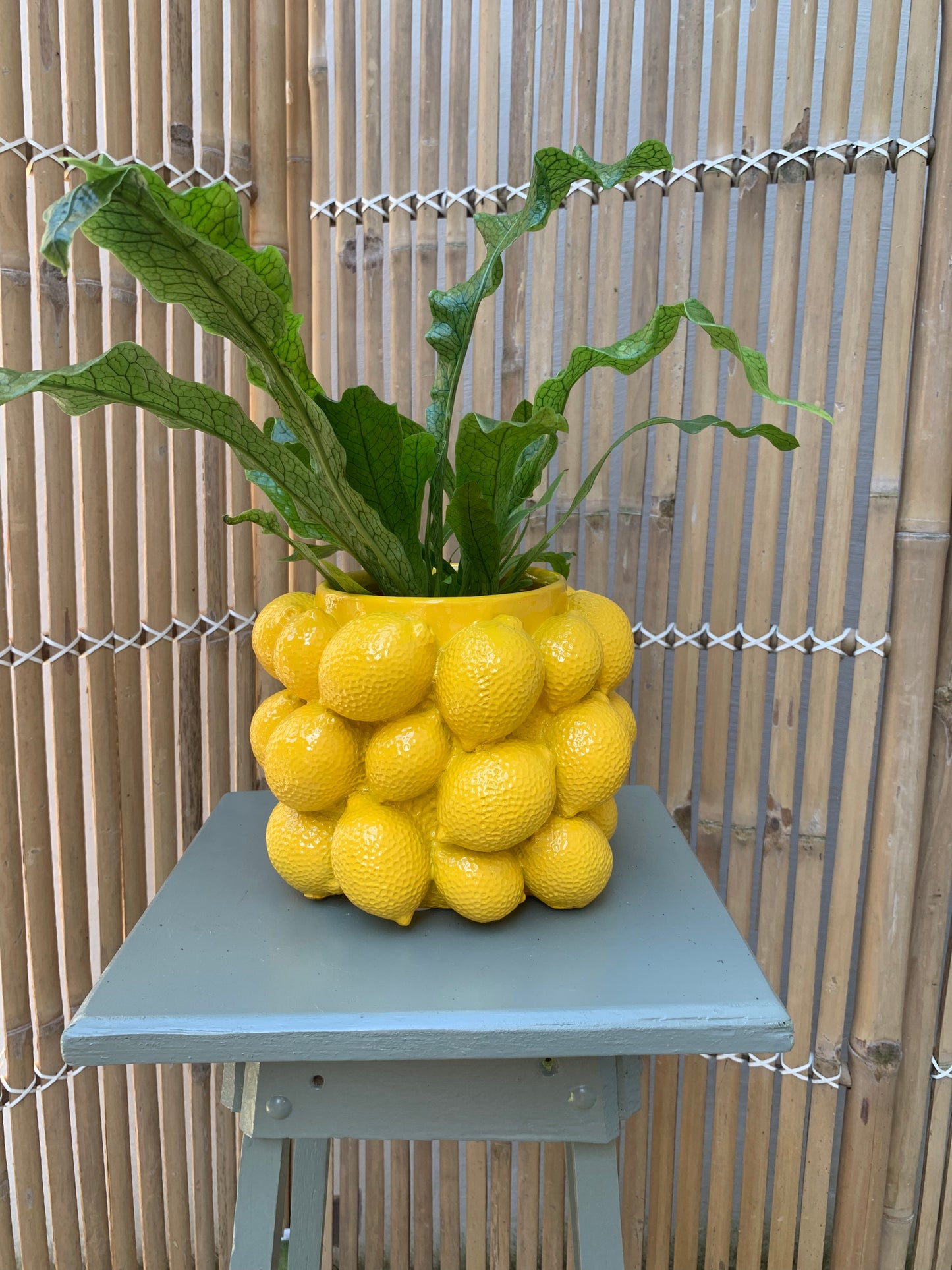 Bloempot Light & Living met citroenen geel