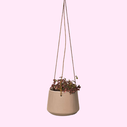 Hangpot roze